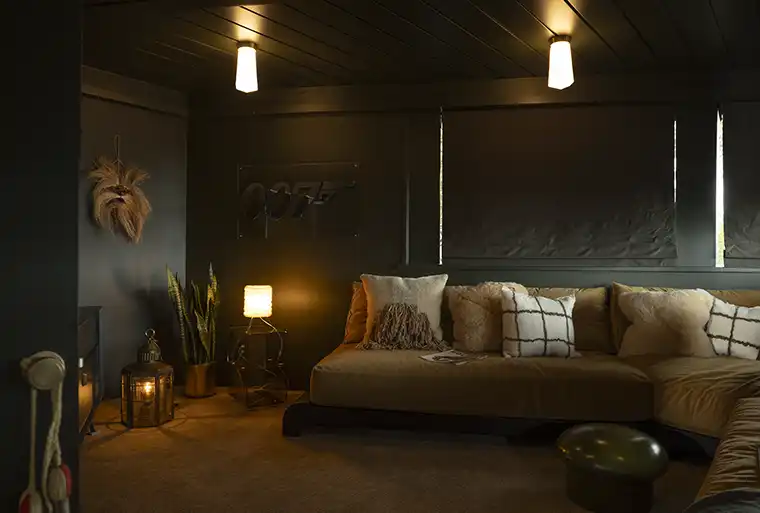 Media room